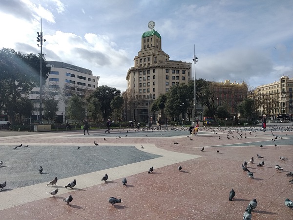 Las palomas de plaza Cataluña son un elemento tan querido como odiado por los propios barceloneses